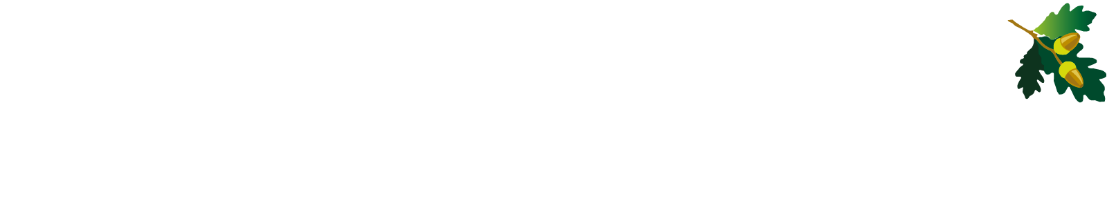 Sherwood-Group-logo-wt